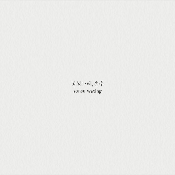 손수왁싱