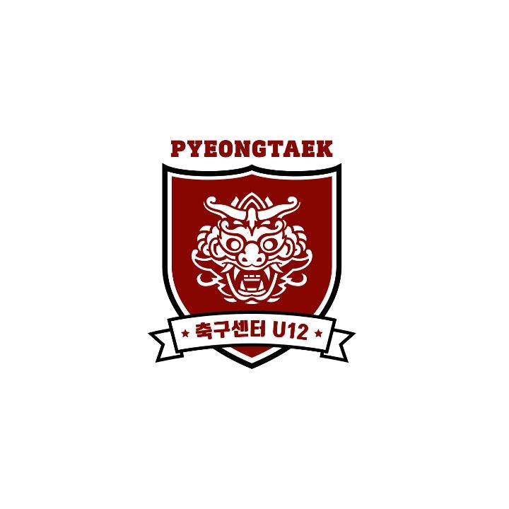 평택북부축구센터
