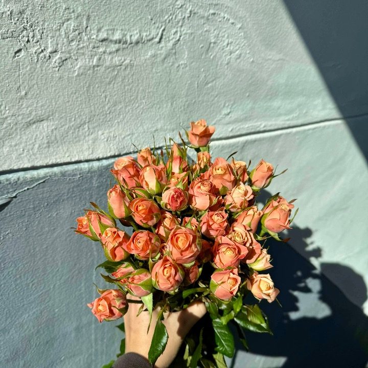 사랑 꽃다발