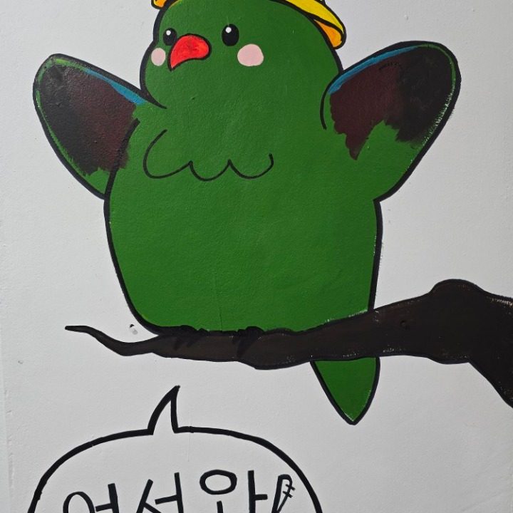 앵린이집