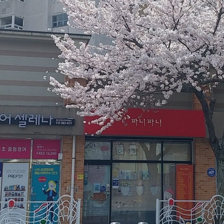 파니파니