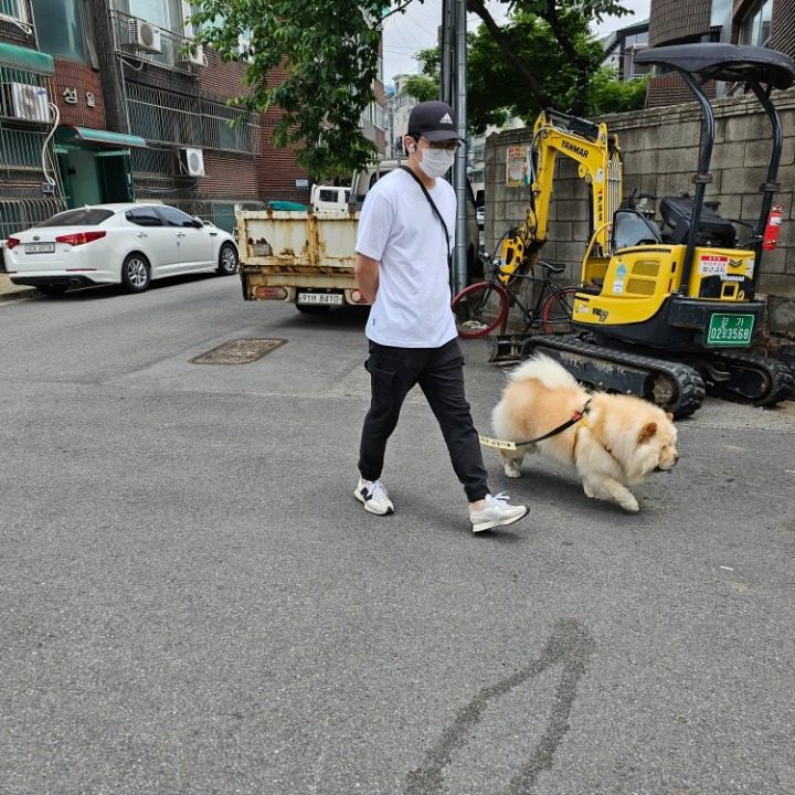 당근 반려견 동행