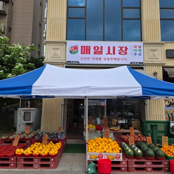 매일시장