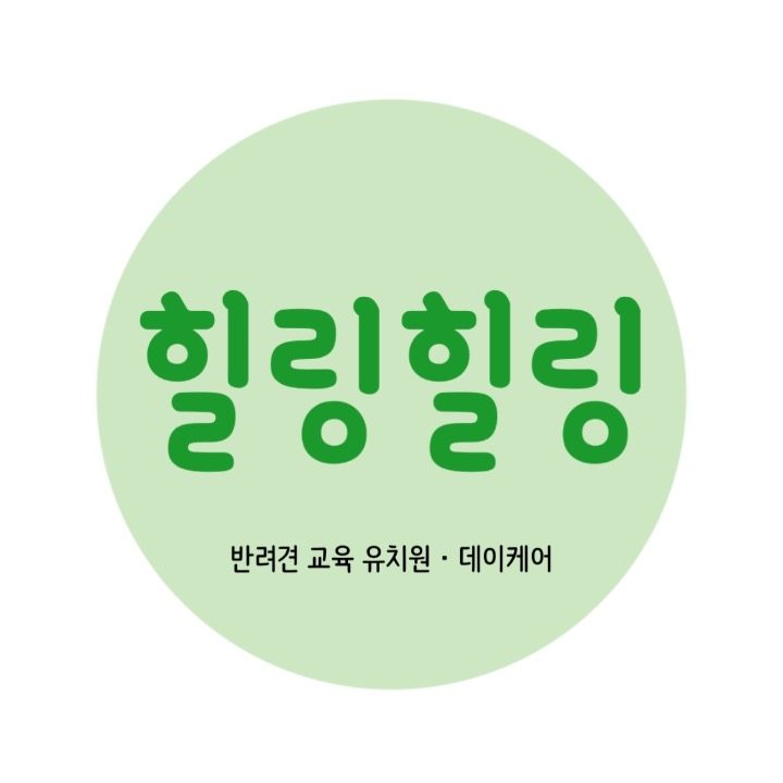 힐링힐링 반려견 교육 유치원