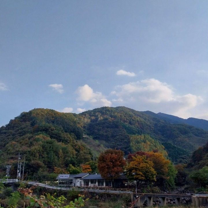 윤서네칼국수