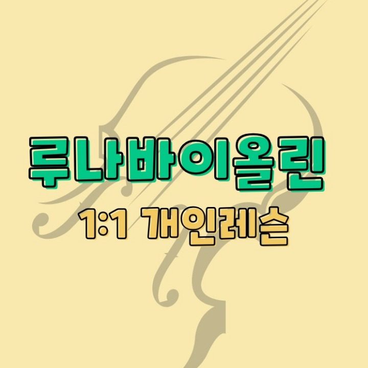 루나바이올린 개인레슨