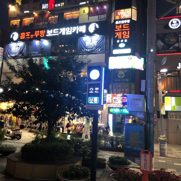 조영수
