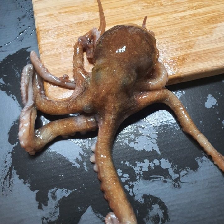 보보웰니스