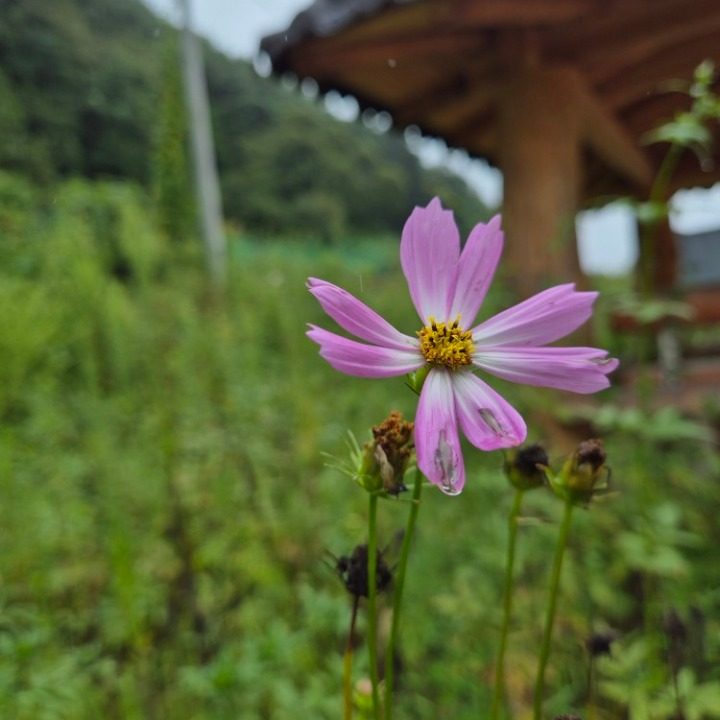 영어공방