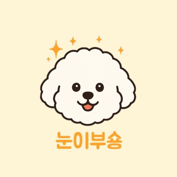 눈이부숑
