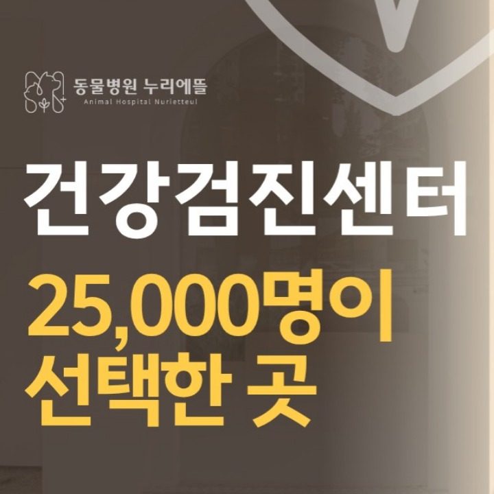 동물병원누리에뜰