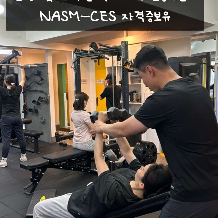 회기동헬스학교