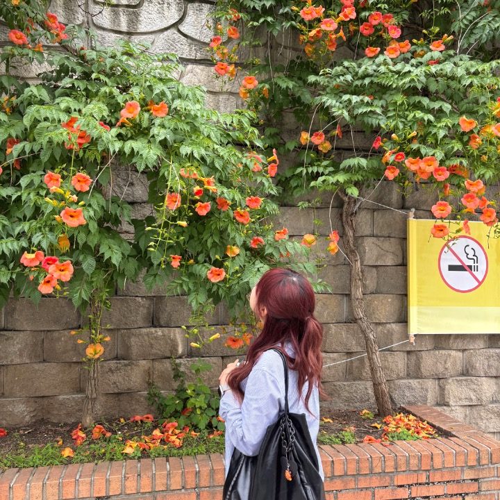 연주