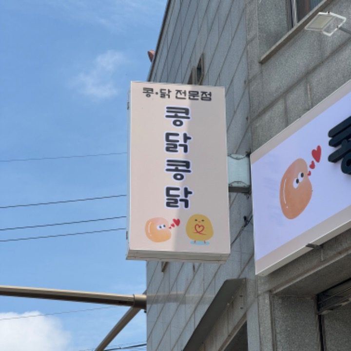 콩닭콩닭
