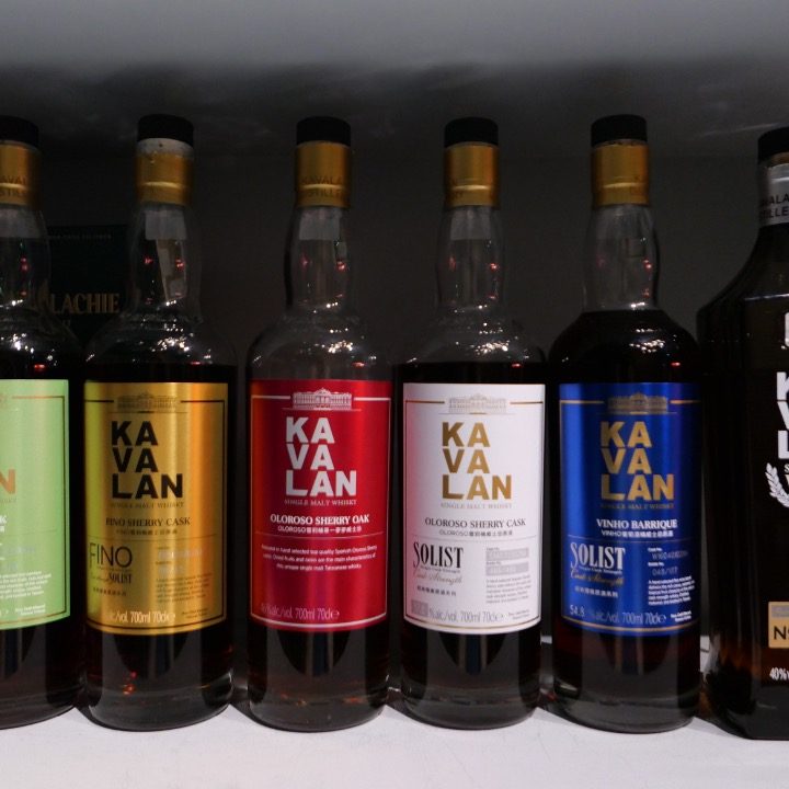 진주 피나 PINA