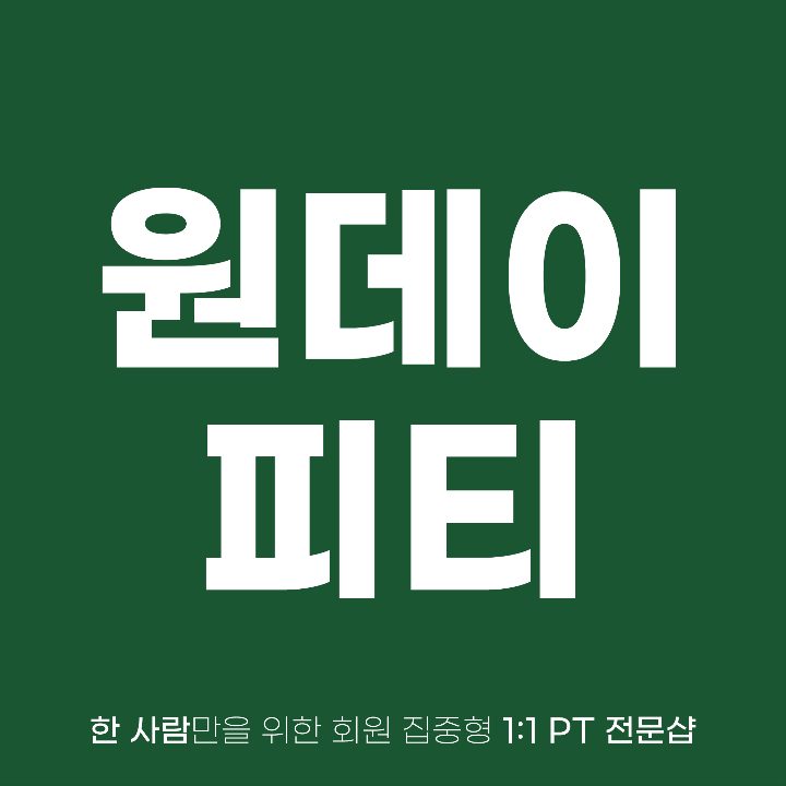 원데이피티