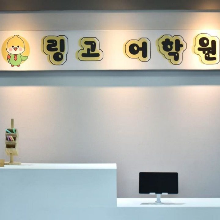 링고어학원
