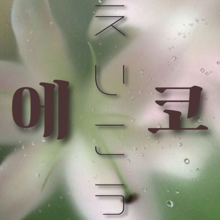 에-코