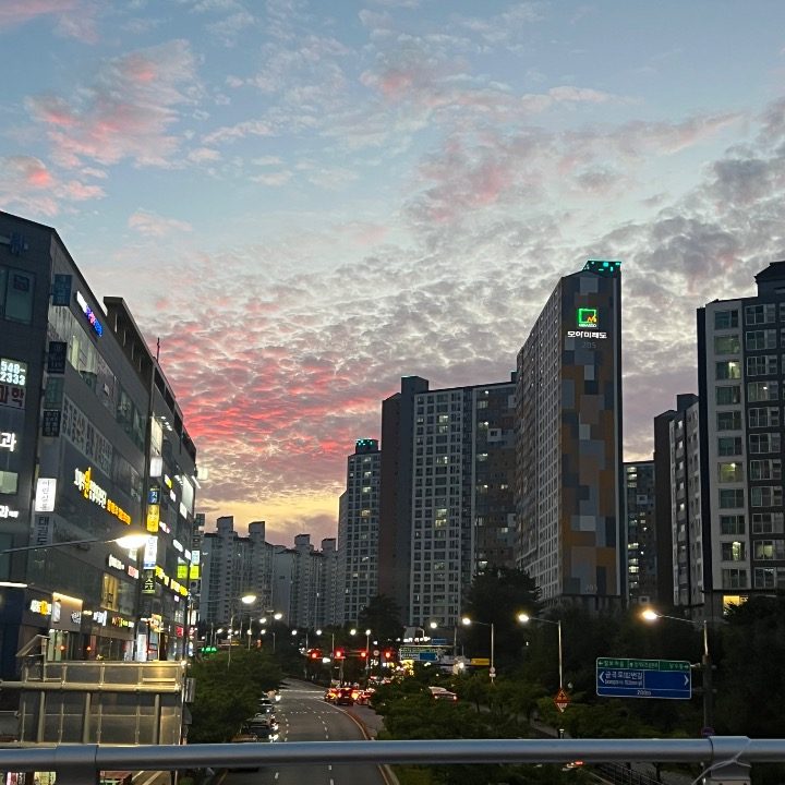 성균관대생 과외