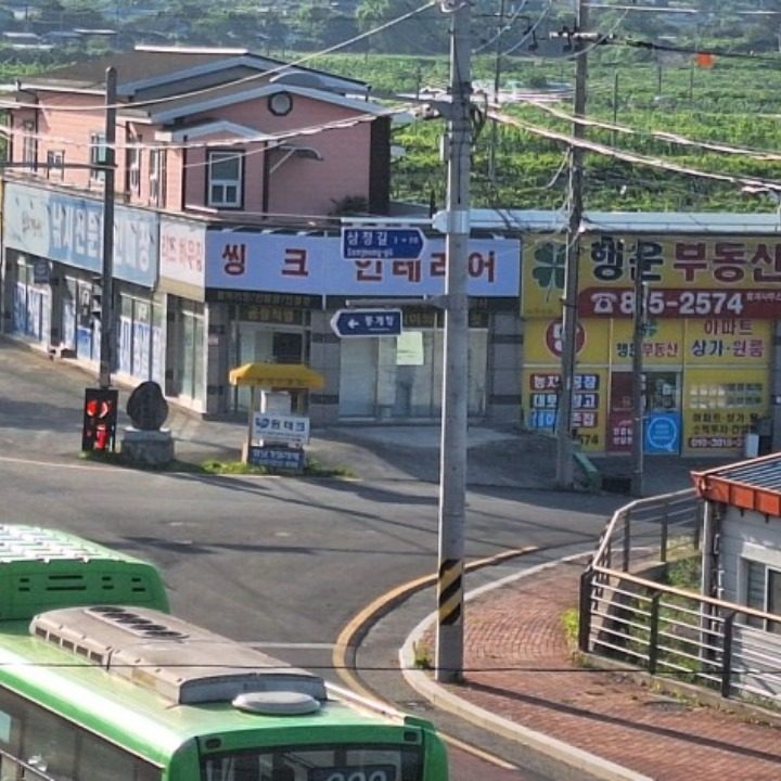 유병도