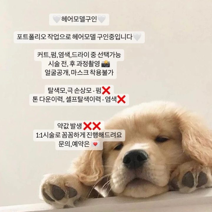 모모수석디자이너