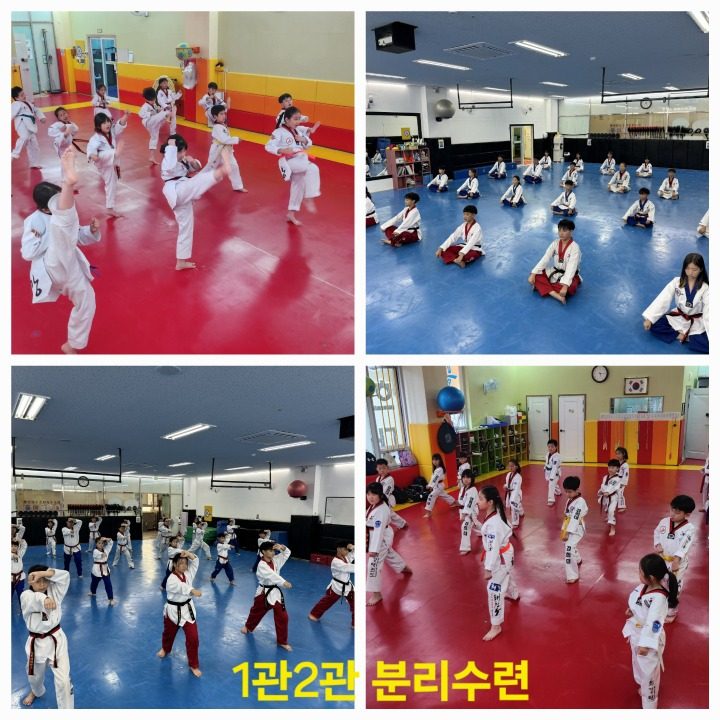 경희대 최강 태권도장