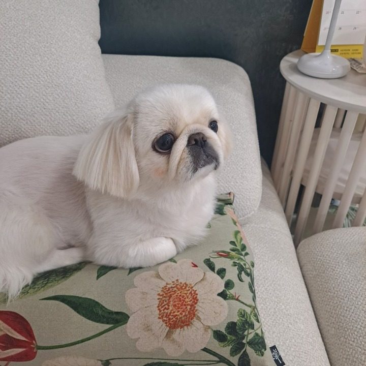 별이빛나는밤