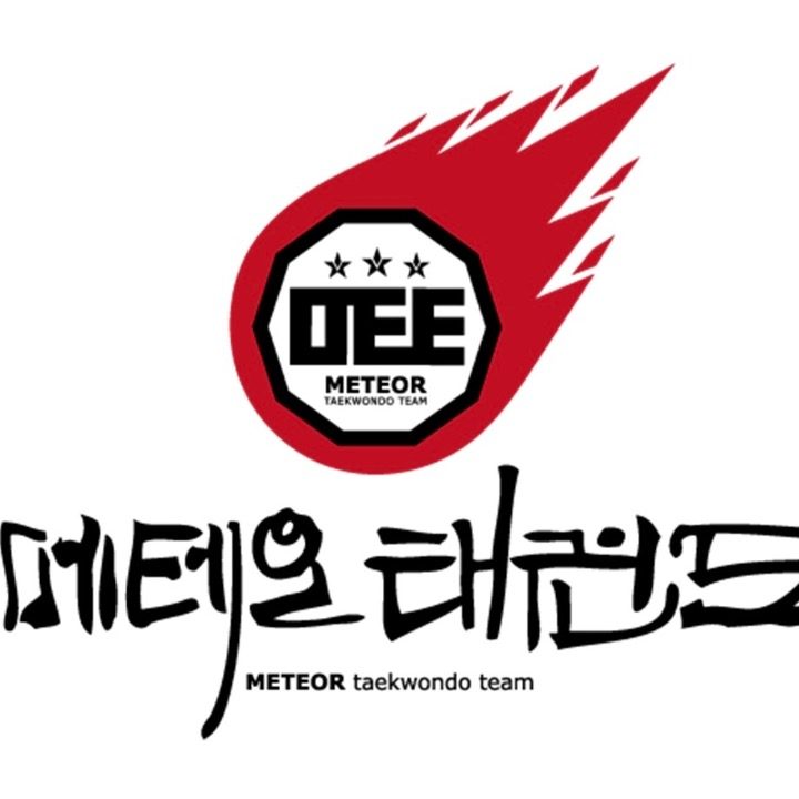 메테오 태권도장
