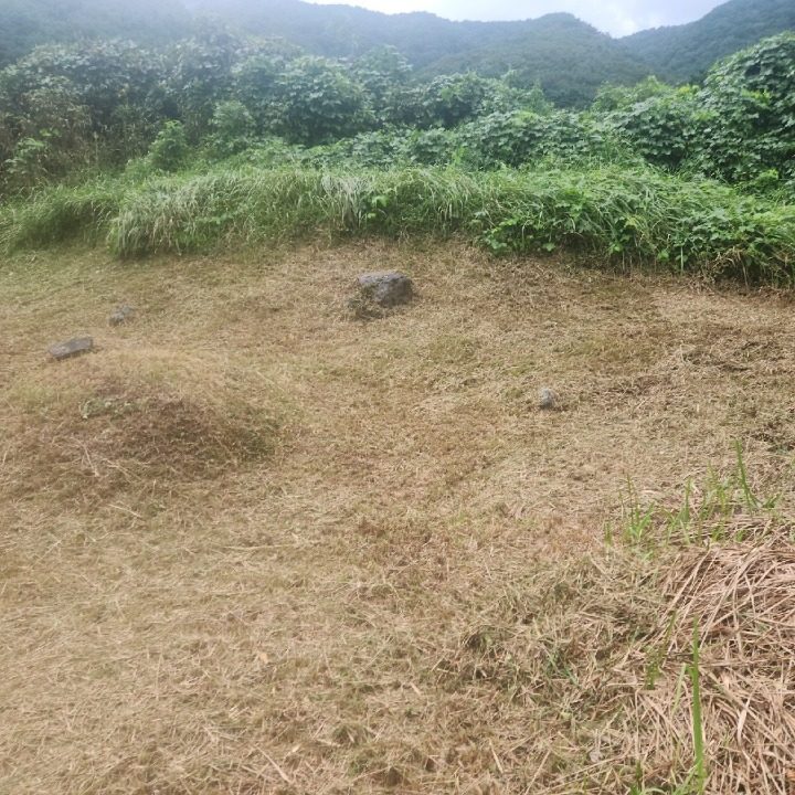 우주벌초대행