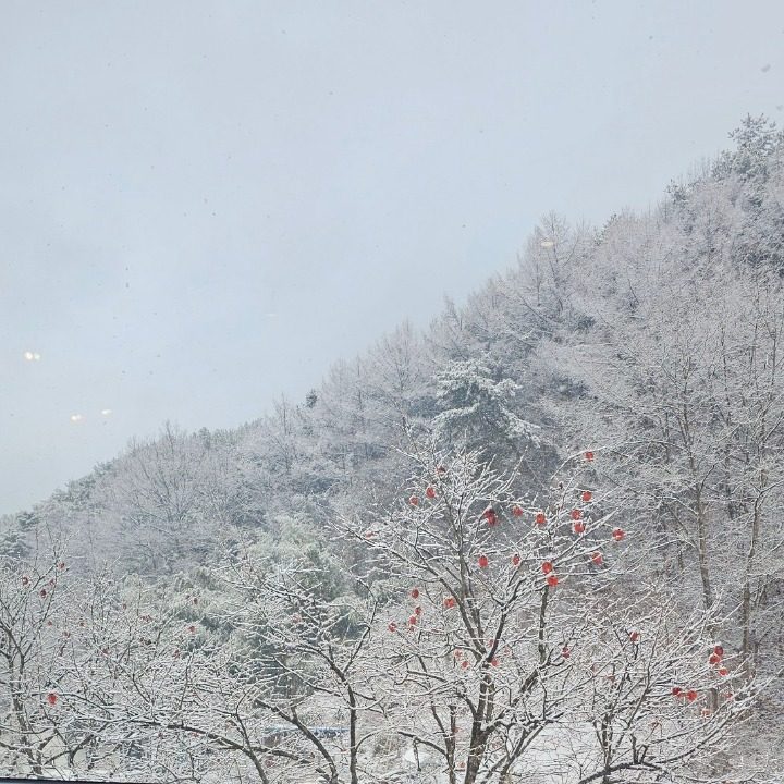 우리동네 전기기술자