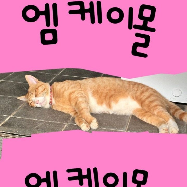 엠케이몰