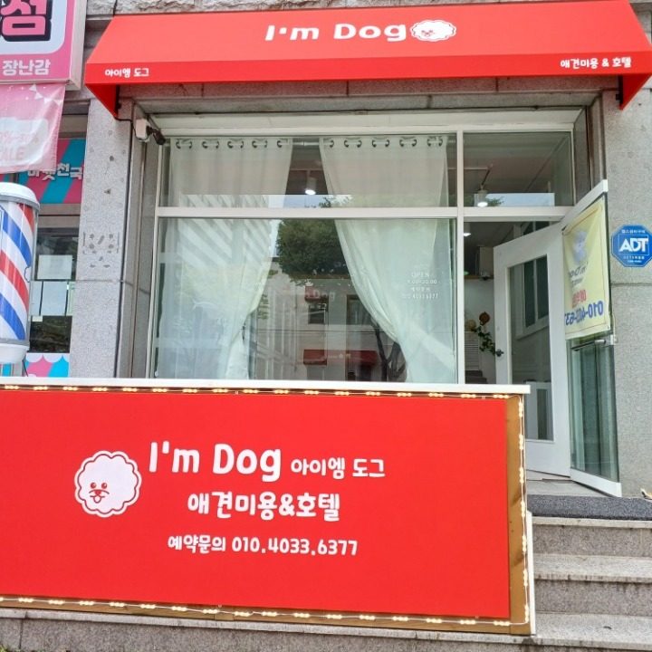 I'm Dog 아이엠도그