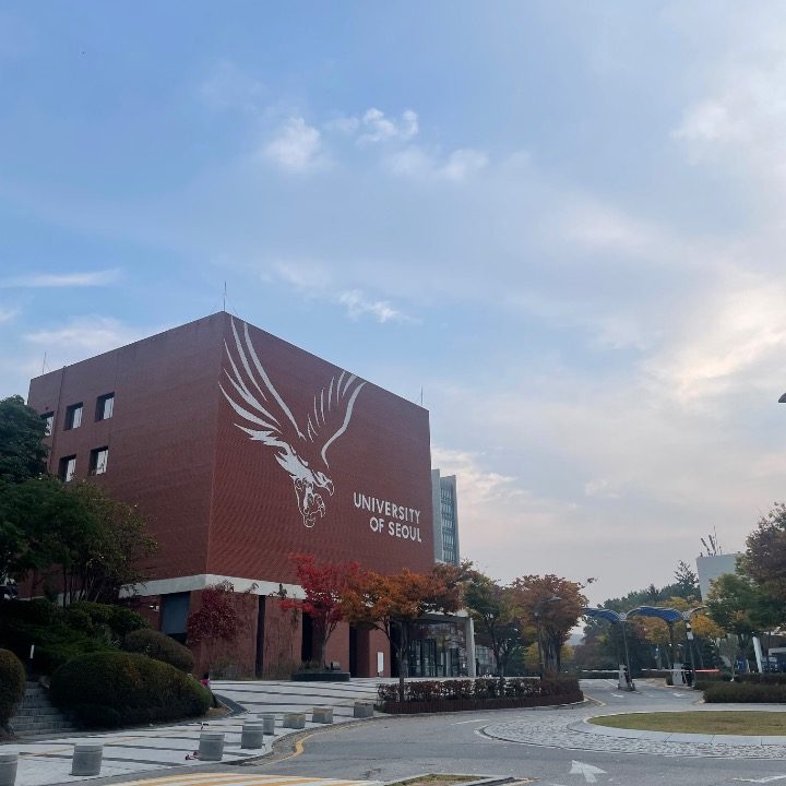 기초탄탄 영수과외