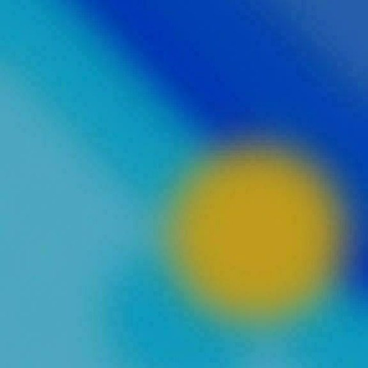 바르다