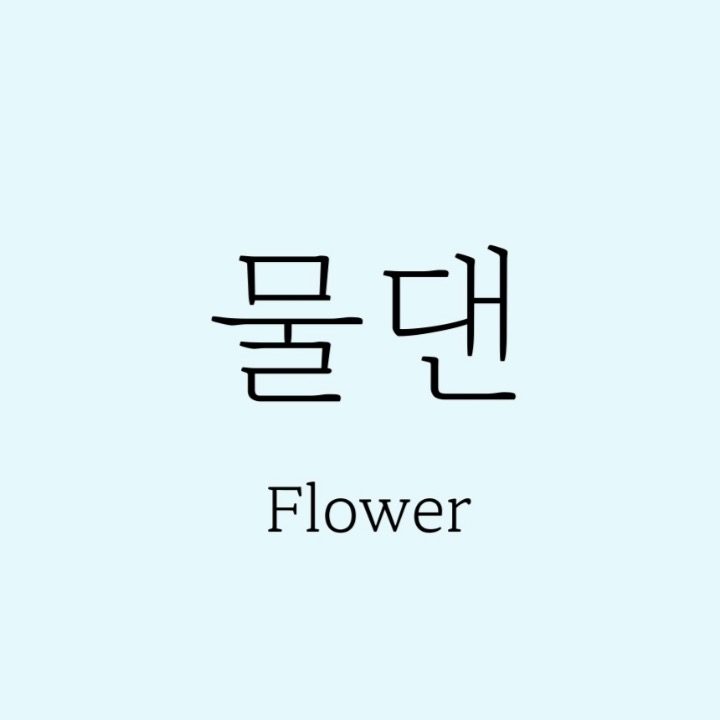 물댄플라워