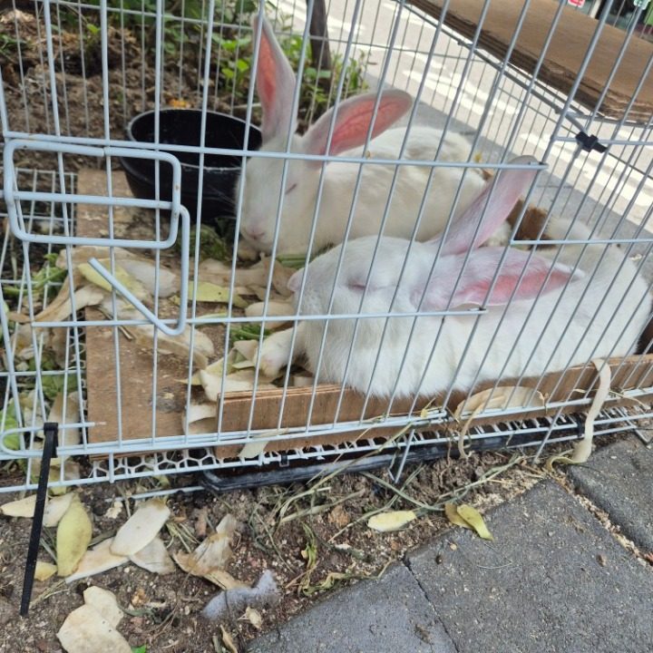 야간검체운송