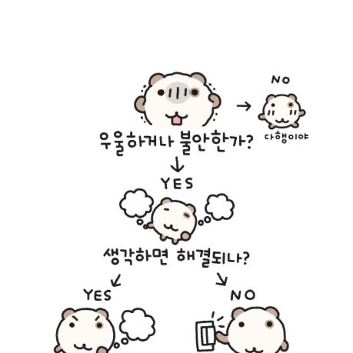 당근그레이엄