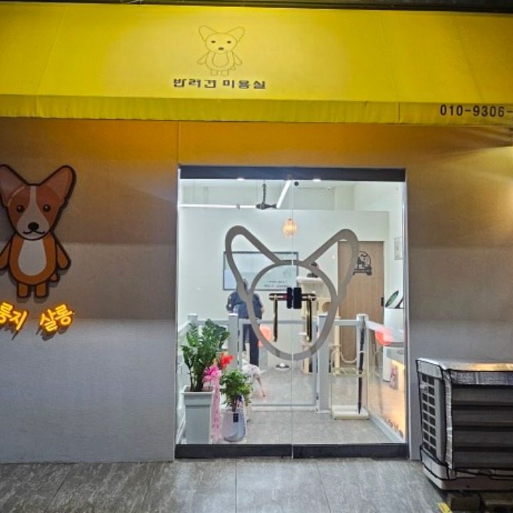 반려견미용실 룽지살롱