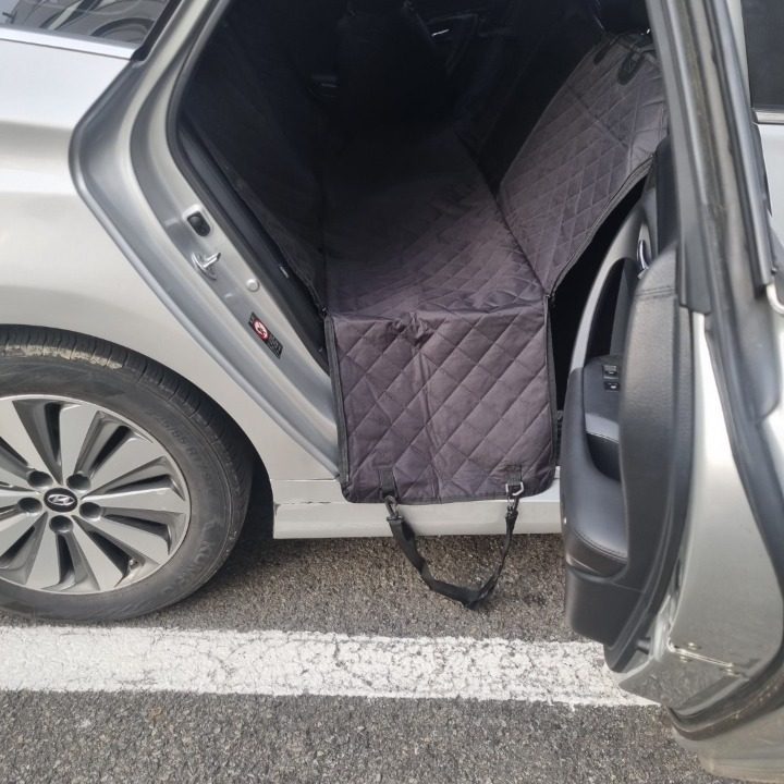 반려동물 펫택시