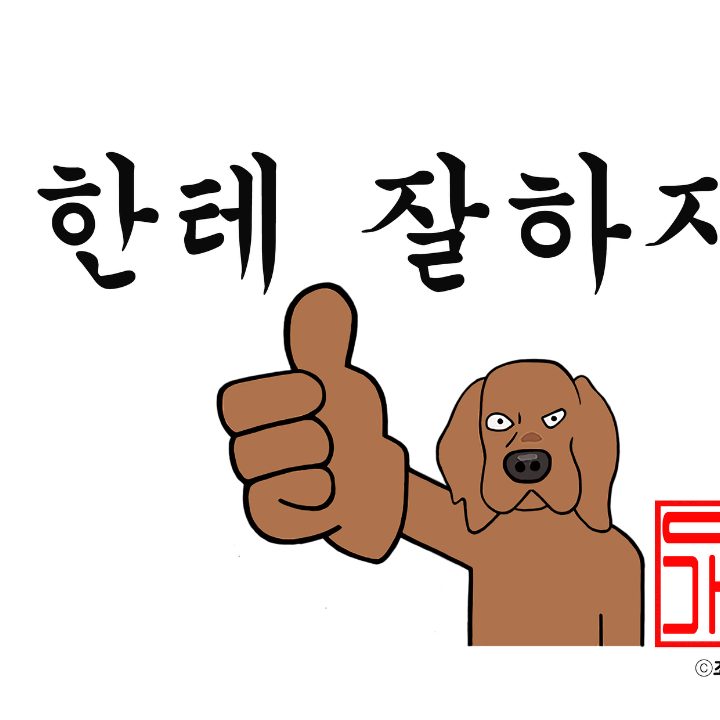 개편한세상