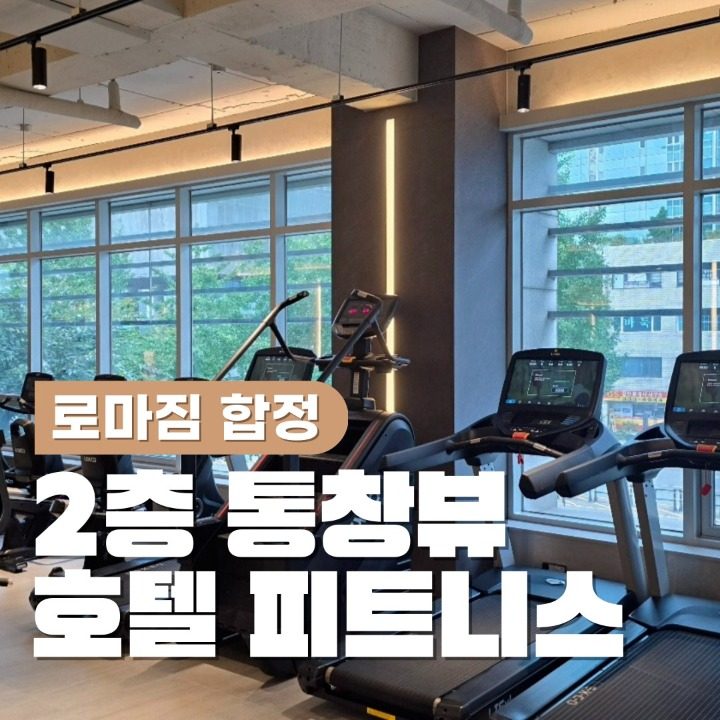 로마짐 합정