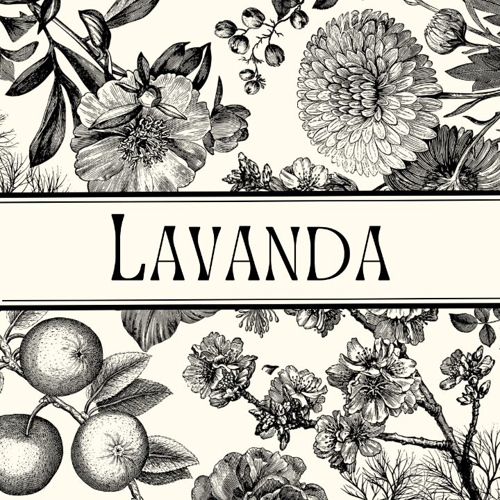 LAVANDA