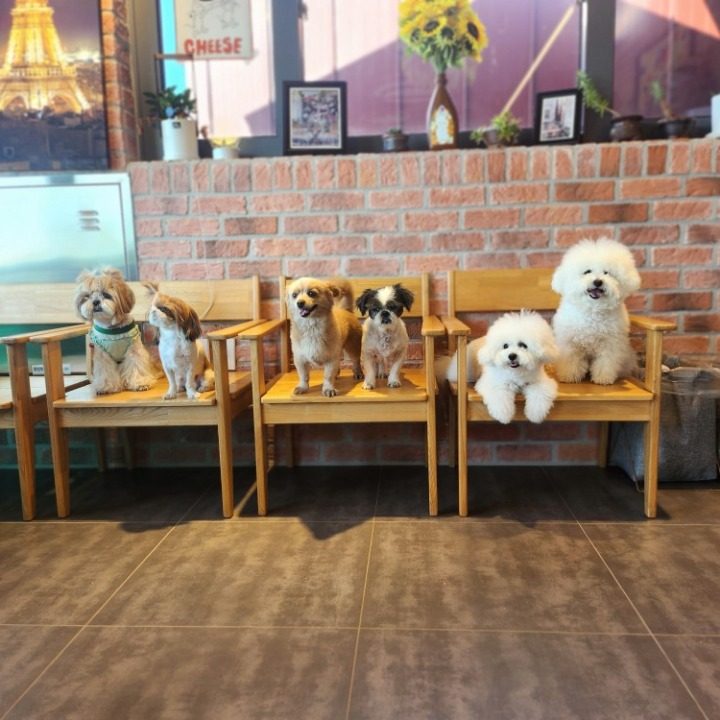 마실카페
