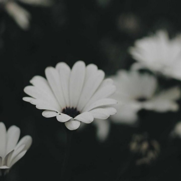 아세안