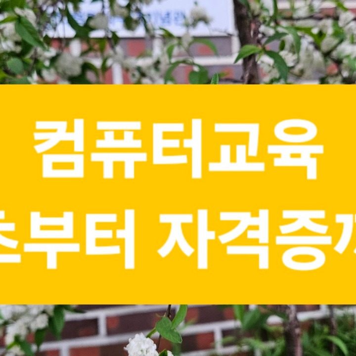 컴퓨터교육월드