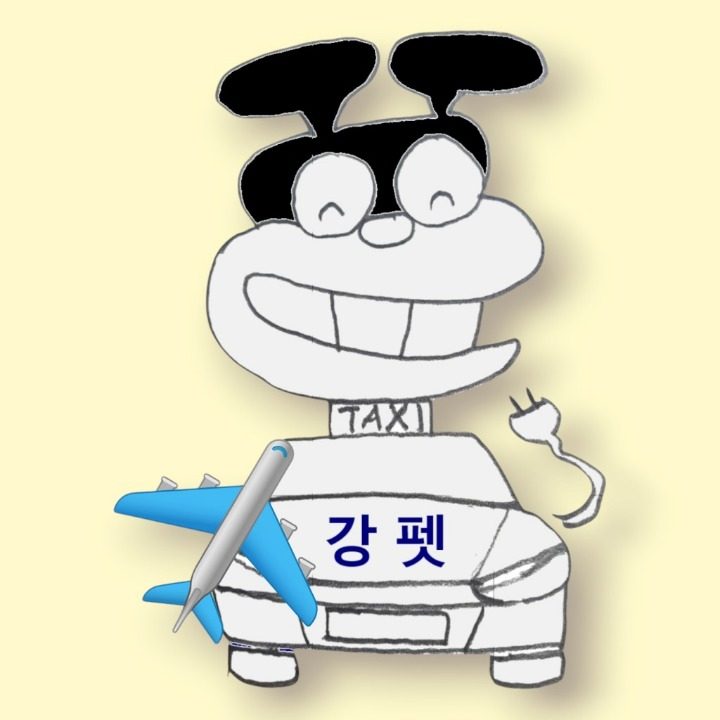 강펫T 강펫택시