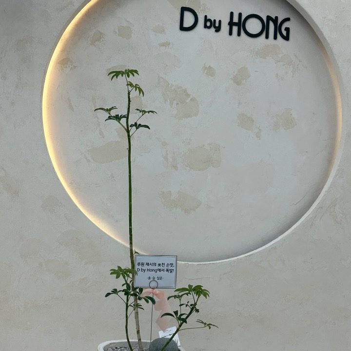 디바이홍
