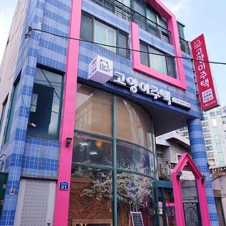 고양이주택