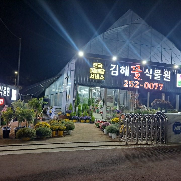 꽃배달