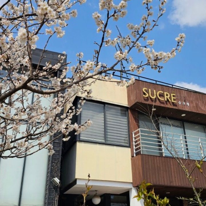 슈크레
